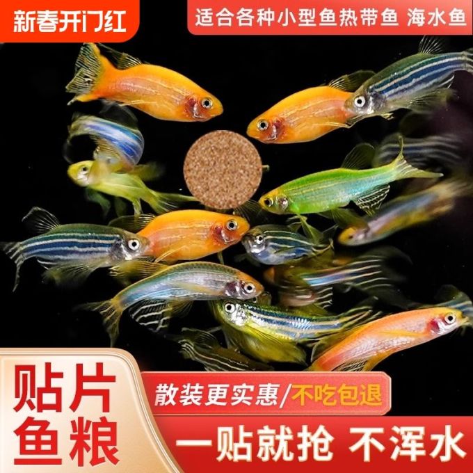 热带鱼的幸福食谱贴片鱼食让水族箱更生动