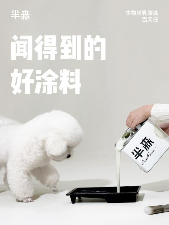 这款乳胶漆的味道，竟然是甜酒味？