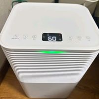 进入雨季室内潮湿选美的除湿机