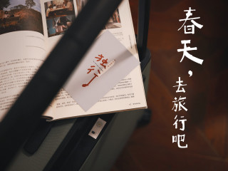 地平线8号行李箱真的那么酷？