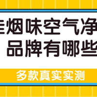 最佳烟味空气净化器品牌有哪些？空气净化器推荐去烟味的品牌测评