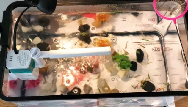 打造自己的懒人世界