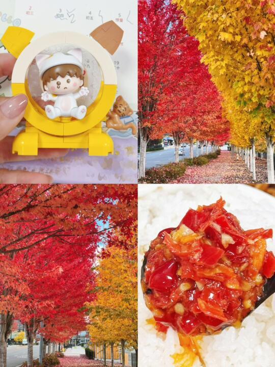 𐙚₊˚佳奇丨坛坛乡丨用心做产品超戳人♡