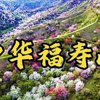 4月上旬，去霍城县大西沟福寿山，看杏花吃美食，与赛里木湖约会