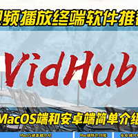 视频播放终端软件推荐VidHub