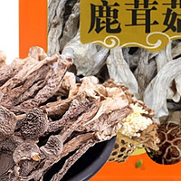 干货选购指南：鸿进莲华原色鹿茸菇250g