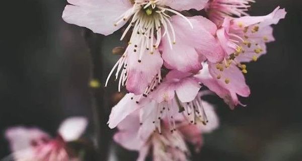 EVA材质家居拖鞋市场观察：防滑防臭功能与品牌对比分析