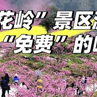 🌸长沙桃花岭景区 | 打卡的宝地