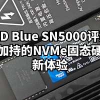 WD Blue SN5000评测：AI加持的NVMe固态硬盘新体验