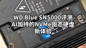 WD Blue SN5000评测：AI加持的NVMe固态硬盘新体验