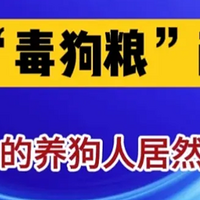 宠物烘焙新蓝海：3款自制零食教程，让自家毛孩吃得健康和安心