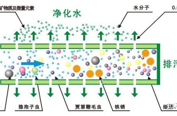 哪些品牌的家用净水器比较靠谱？