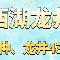 西湖龙井茶快要上市，群体种、龙井43你可知道区别？