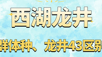 西湖龙井茶快要上市，群体种、龙井43你可知道区别？