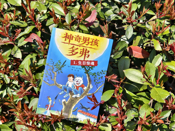 荷兰每十七个人里就有一个人看过的童书经典