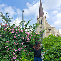 春天怎么少的了可爱的花花和旅游