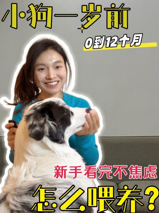 狗狗一岁前的喂养建议！快看看你做对了没？