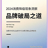 2024消费降级趋势及应对策略