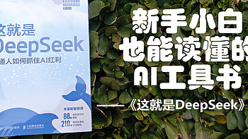 新手小白也能读懂的AI工具书——《这就是DeepSeek》浅读