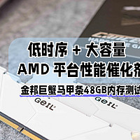 AMD 9950X3D的性能催化剂丨金邦巨蟹48GB内存测评