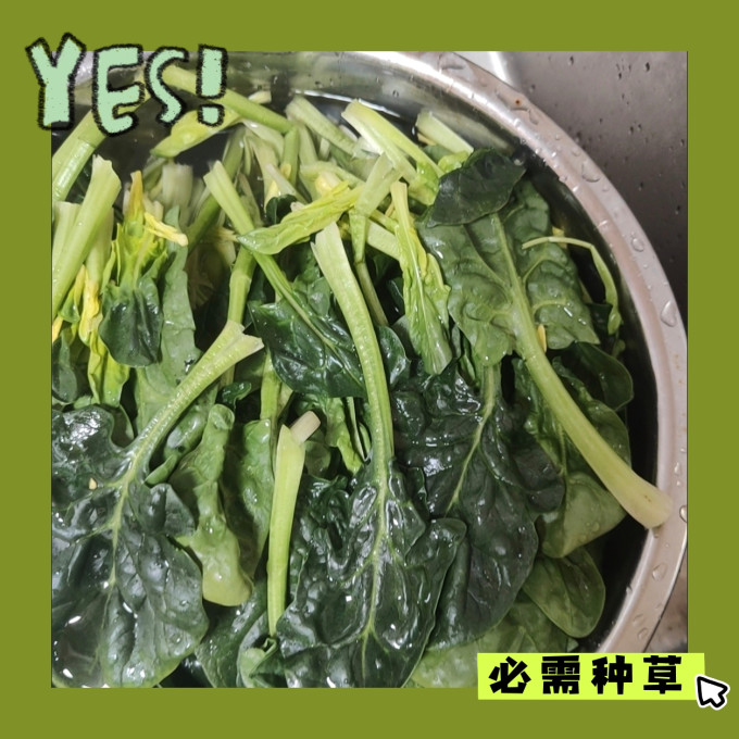 种子