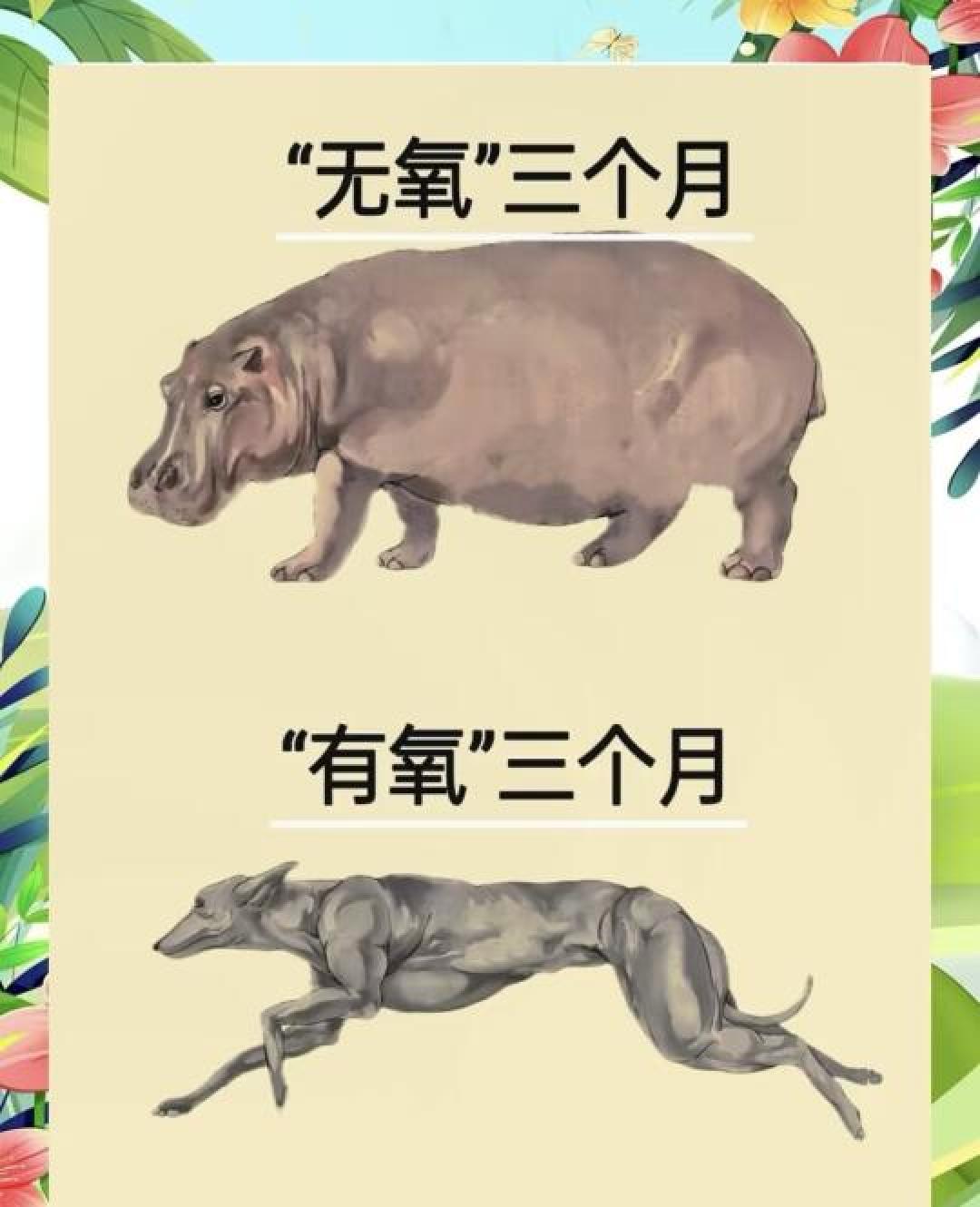 健身不盲选!4步找到你的“本命运动”,效果翻倍