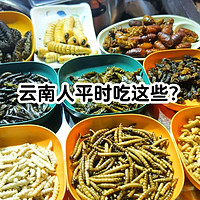 🐛😱 胆小慎入！云南特色昆虫宴来袭！