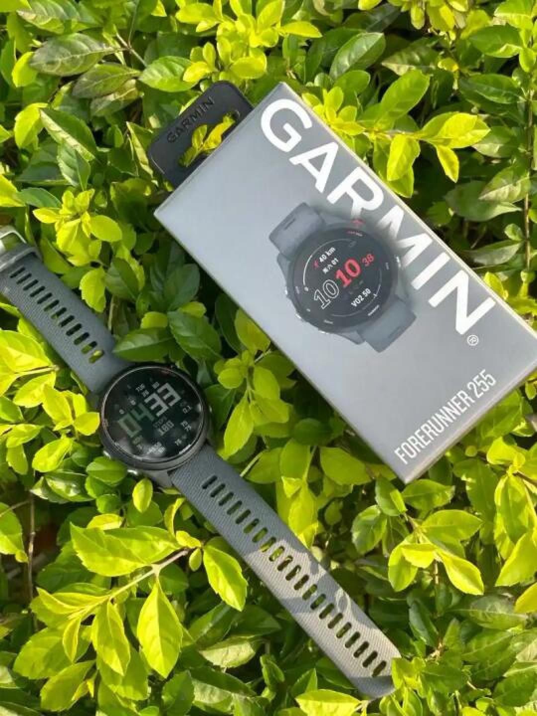佳明Forerunner 255运动智能表深度评测:多频定位、长续航与健康监测升级解析
