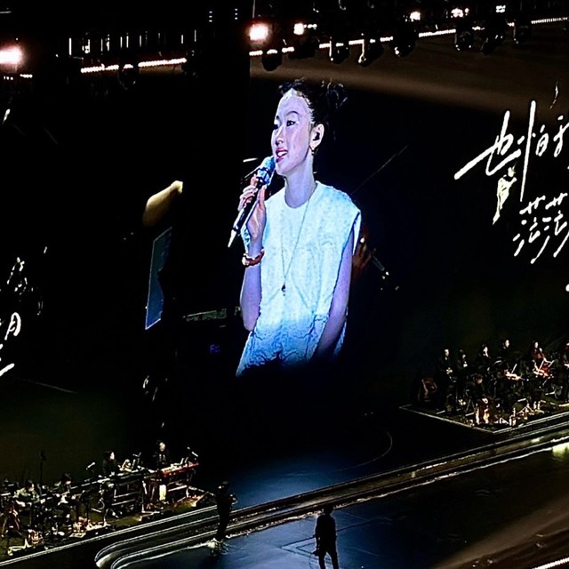 纯妹妹深圳演唱会