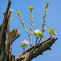 春分时节该如何养生？有哪些禁忌？一文讲清楚！