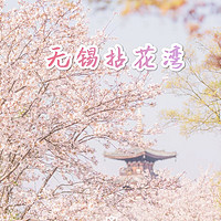 🌸 ​无锡拈花湾樱花季｜保姆级攻略，浪漫来袭🌸