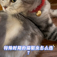 特殊时期的猫驱虫怎么选？