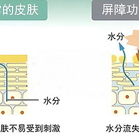 秋冬皮肤痒，十年寻应对之策