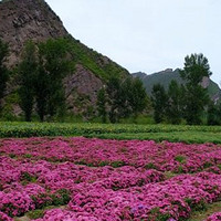 北京往北 百里山水画廊