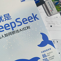 震撼！《这就是 DeepSeek》让AI成为我工作的超级外挂