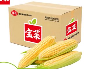 佳农宝菜山东新鲜水果玉米鲜嫩多汁健康轻食玉米5-6根4.5斤装