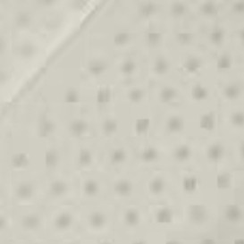 有了Nittaya乳胶腰枕，我的老腰终于“得救”了