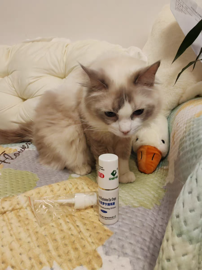 众诚方源日用清洁