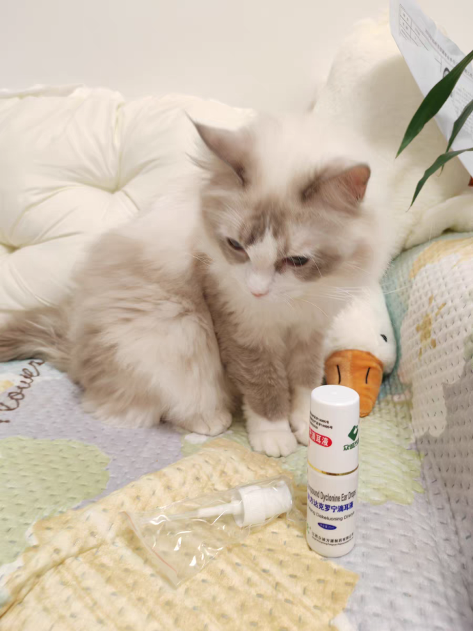 众诚方源日用清洁