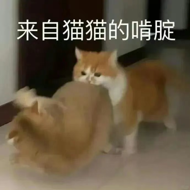 有哪些香水品牌值得购买呢?