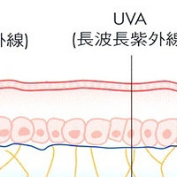 防晒霜正在偷走你的健康？被忽视的化学渗透真相。