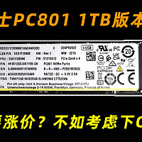 旗舰固态平民价格 海力士PC801 1TB版本评测