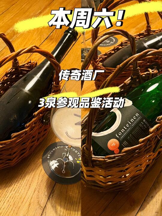 🇳🇱本周六！比利时传奇酒厂之旅