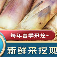 春笋轻食攻略：揭秘京鲜生春雷笋的减肥秘密，打破春季养生谣言！