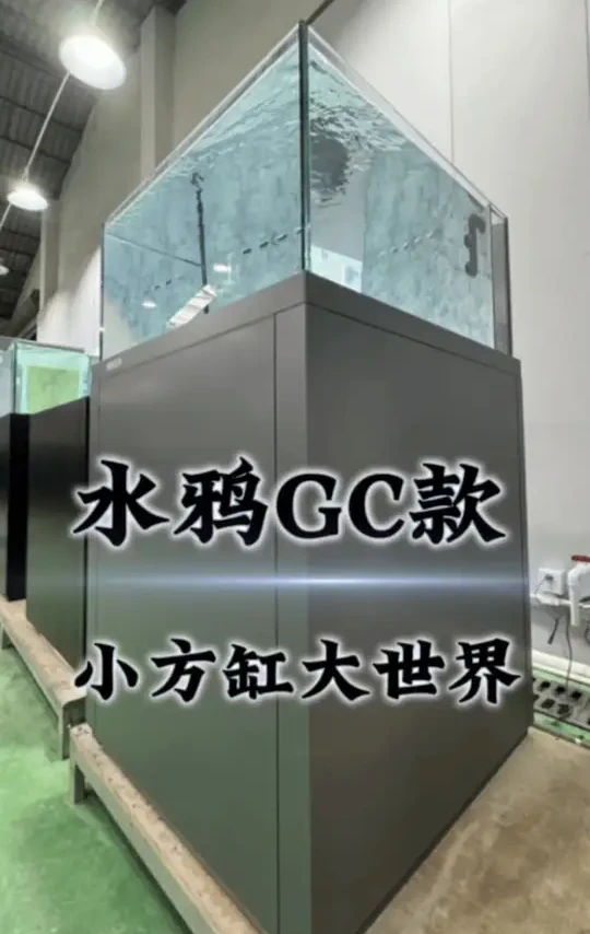 GC80水鸦冰丝蓝玉，方寸之间，游曳一尾鎏金金水墨画，属于的水鸦独一份。#水鸦鱼缸 #观赏鱼 #展厅实拍 #工作日常记录 #水族