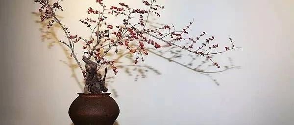 这样的插花，才是茶艺的灵魂担当。