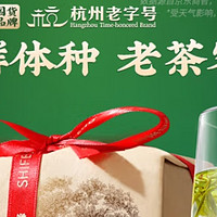 
春意盎然，狮峰牌2025新茶——探寻绿茶龙井的春日韵味！