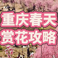 🌸重庆春日赏花地图！绝美花海打卡地！