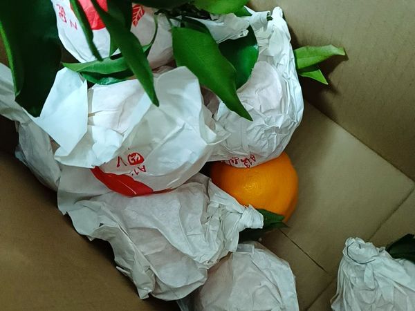 网购粑粑柑和牛腱子要注意哪些方面？