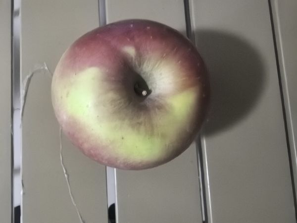 蔬菜水果类有助于减肥成功